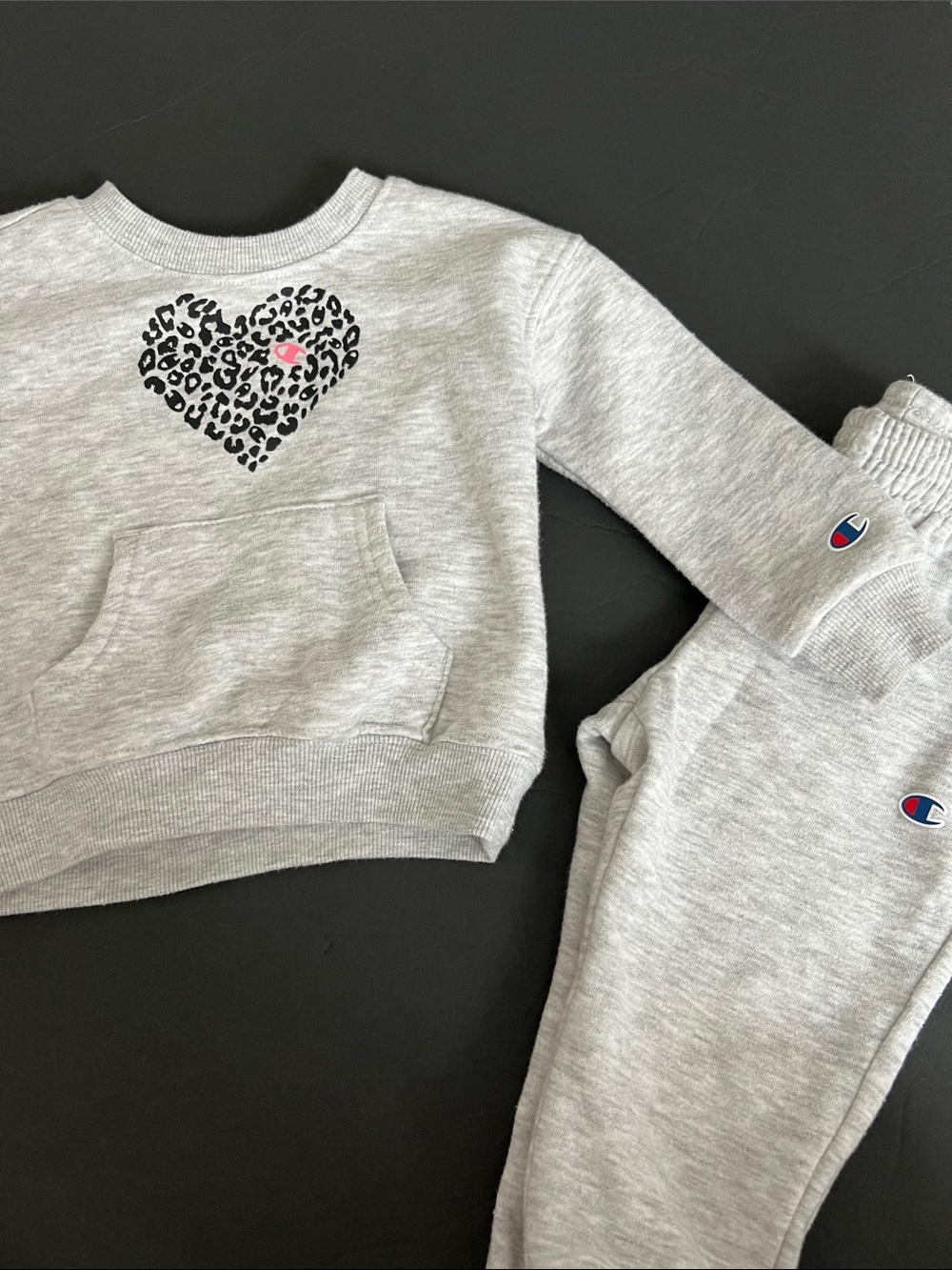 Champion Gray Sweatshirt and Joggers with Leopard Heart